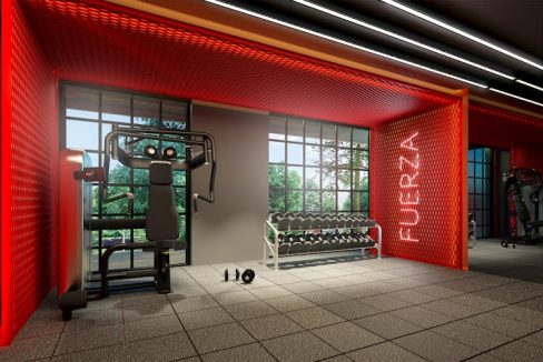gym_a_alta