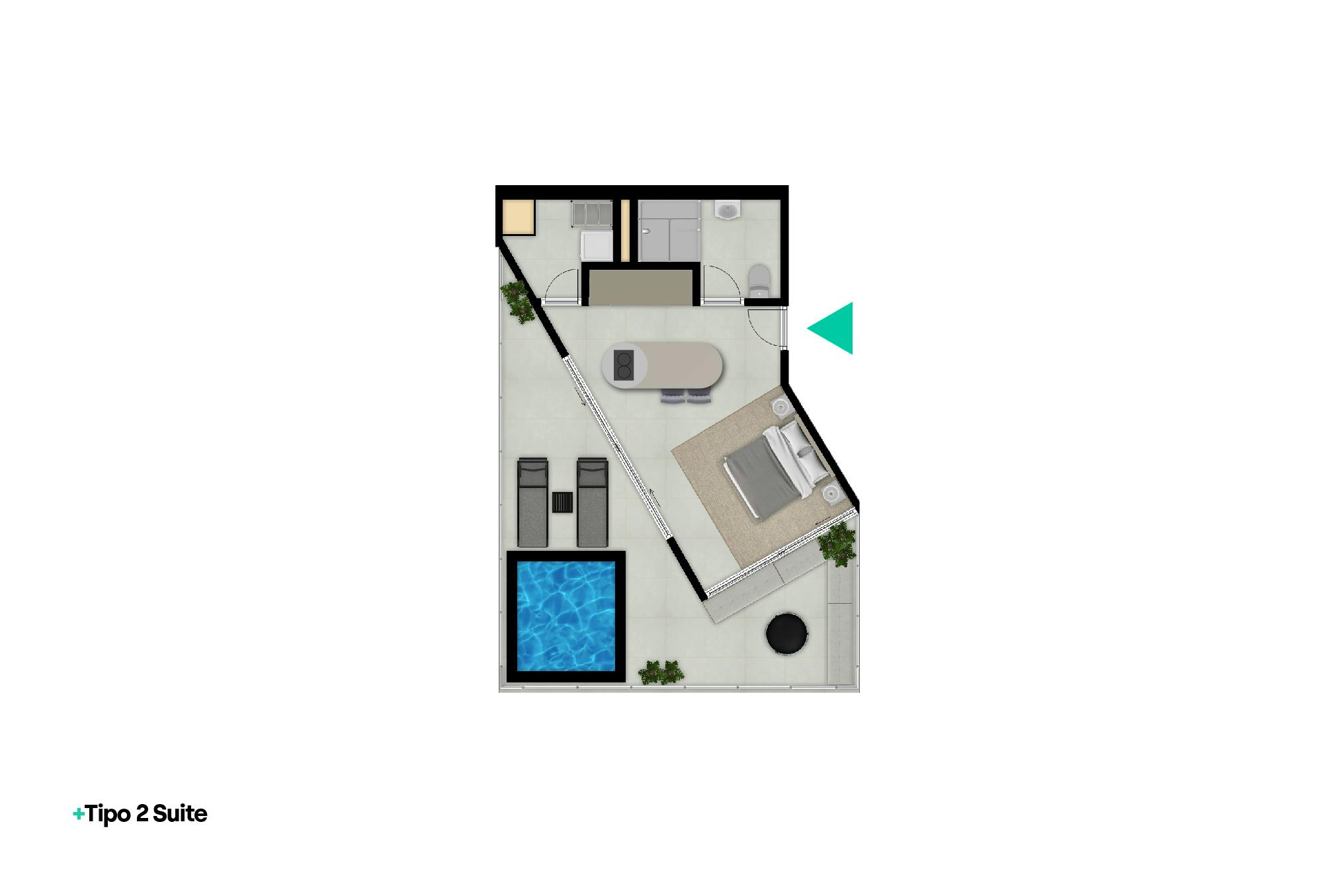 tipo_2 (1)